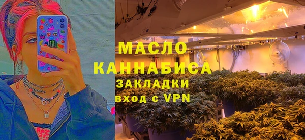 гидра Карпинск