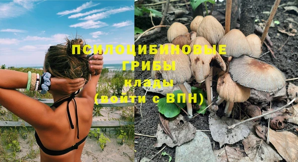МДМА Козловка
