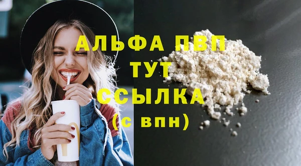 гидра Карпинск