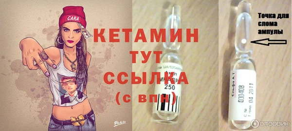 крисы Козельск