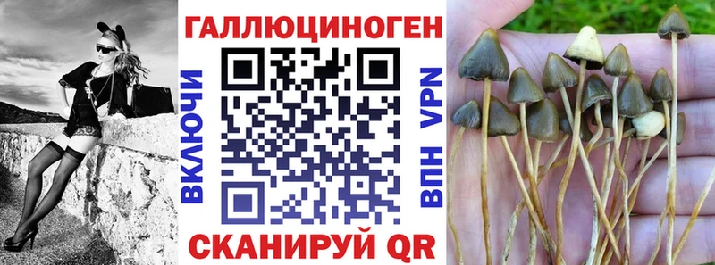 Псилоцибиновые грибы MAGIC MUSHROOMS  Ковдор 